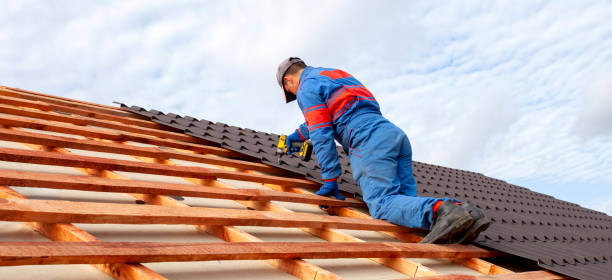 Best Skylight Installation and Repair  in Park City, KS