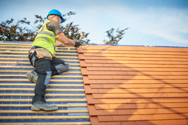 Best Storm Damage Roof Repair  in Park City, KS